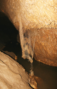 A fishing net inside the cave shows a common capture methods (photo: J. Sedlock