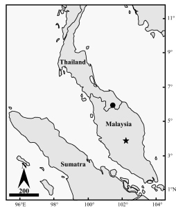 Distribution map of K. krauensis from Thailand (black circle) and Malaysia (black star).